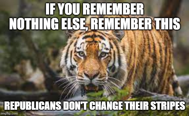 Republicans Don't Change | IF YOU REMEMBER NOTHING ELSE, REMEMBER THIS; REPUBLICANS DON'T CHANGE THEIR STRIPES | image tagged in republicans,conservatives,steve schmidt | made w/ Imgflip meme maker