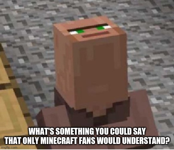You may not sleep now, there are monsters nearby. | WHAT'S SOMETHING YOU COULD SAY THAT ONLY MINECRAFT FANS WOULD UNDERSTAND? | image tagged in minecraft villager looking up,minecraft | made w/ Imgflip meme maker
