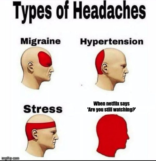 Types of Headaches meme | When netflix says 'Are you still watching?' | image tagged in types of headaches meme | made w/ Imgflip meme maker
