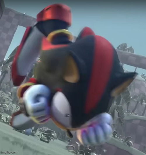 shadow being a silly billy | image tagged in shadow being a silly billy | made w/ Imgflip meme maker