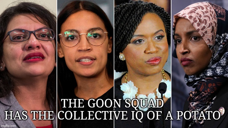 the squad | THE GOON SQUAD 
HAS THE COLLECTIVE IQ OF A POTATO | image tagged in squad | made w/ Imgflip meme maker