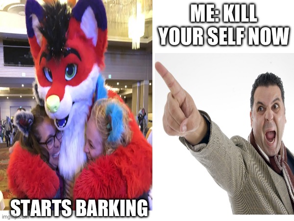 Kill all the furry’s | ME: KILL YOUR SELF NOW; STARTS BARKING | image tagged in furries,anti furry,kill yourself | made w/ Imgflip meme maker