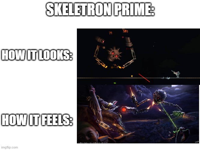 Skeletron Prime Expierence | SKELETRON PRIME:; HOW IT LOOKS:; HOW IT FEELS: | image tagged in terraria,boss,gaming,pc gaming | made w/ Imgflip meme maker