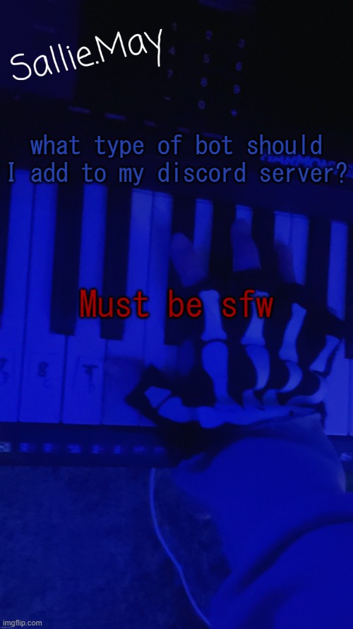 Sallie's temp by hannibal | what type of bot should I add to my discord server? Must be sfw | image tagged in sallie's temp by hannibal | made w/ Imgflip meme maker