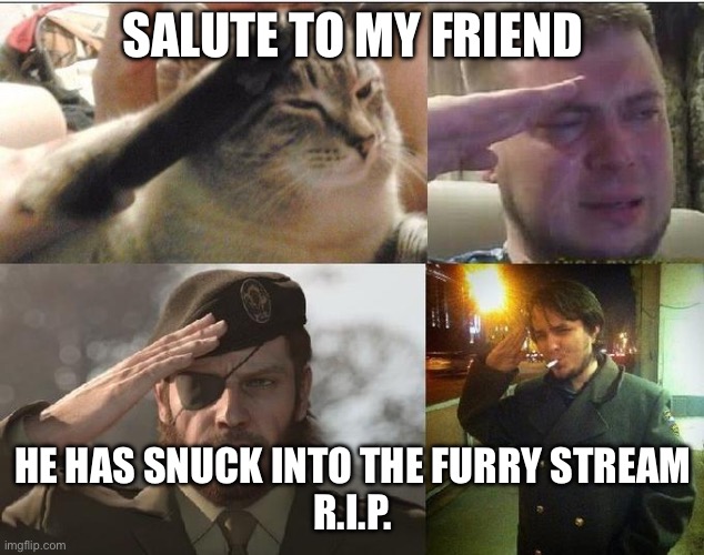 Ozon's Salute | SALUTE TO MY FRIEND; HE HAS SNUCK INTO THE FURRY STREAM
R.I.P. | image tagged in ozon's salute,anti furry | made w/ Imgflip meme maker