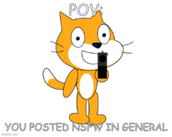 Scratch cat gun | POV:; YOU POSTED NSFW IN GENERAL | image tagged in scratch cat gun | made w/ Imgflip meme maker