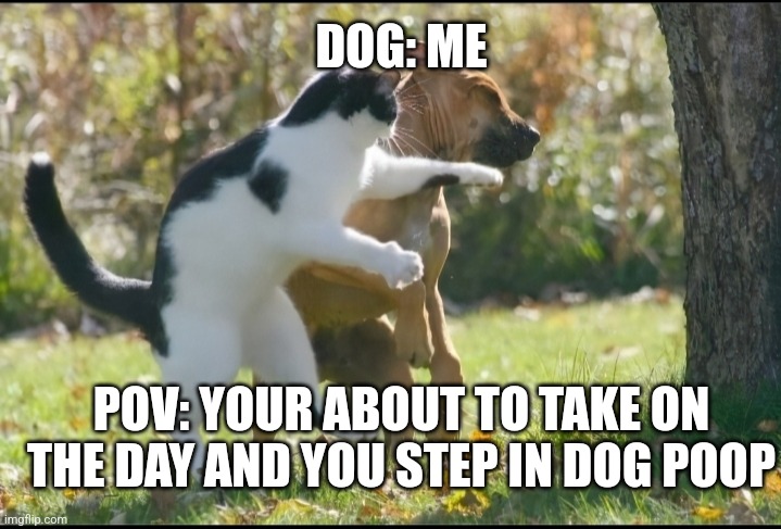 Faxxxxx | DOG: ME; POV: YOUR ABOUT TO TAKE ON THE DAY AND YOU STEP IN DOG POOP | image tagged in funny memes | made w/ Imgflip meme maker
