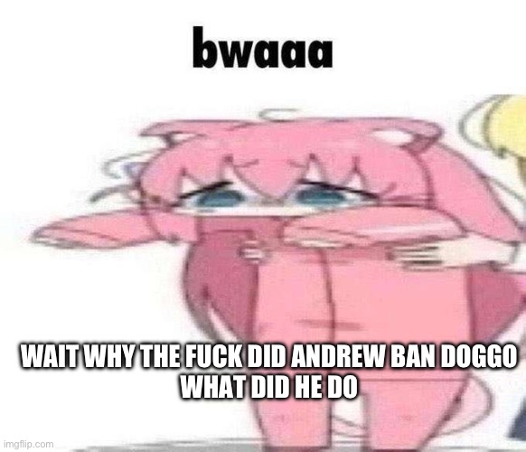 bwaaa | WAIT WHY THE FUCK DID ANDREW BAN DOGGO
WHAT DID HE DO | image tagged in bwaaa | made w/ Imgflip meme maker