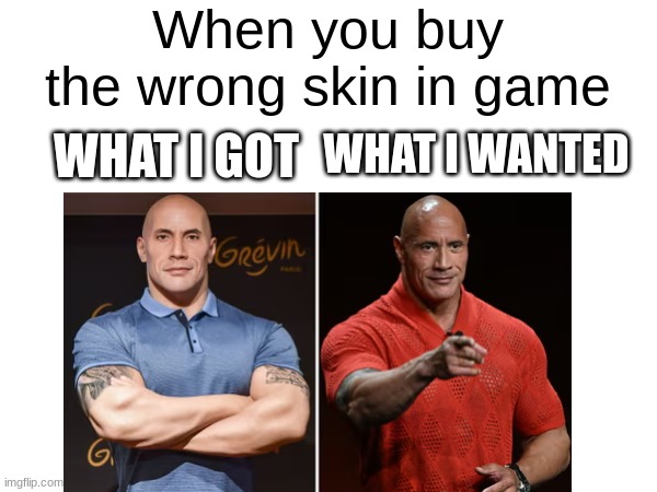 I wasted my money... | When you buy the wrong skin in game; WHAT I GOT; WHAT I WANTED | image tagged in dwayne johnson,something s wrong,memes,meme | made w/ Imgflip meme maker