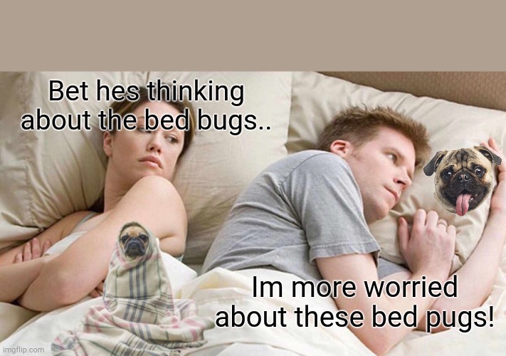 I Bet He's Thinking About Other Women Meme | Bet hes thinking about the bed bugs.. Im more worried about these bed pugs! | image tagged in memes,i bet he's thinking about other women | made w/ Imgflip meme maker