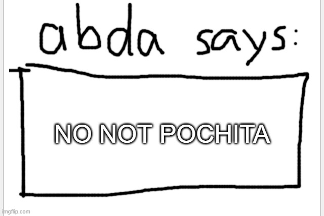 :( | NO NOT POCHITA | image tagged in anotherbadlydrawnaxolotl s announcement temp | made w/ Imgflip meme maker