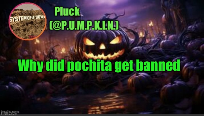 I can’t leave to go to school without this shit happening | Why did pochita get banned | image tagged in p u m p k i n announcement thanks corpse | made w/ Imgflip meme maker