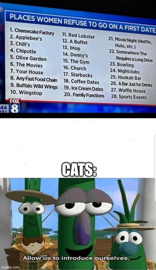 CATS: | image tagged in allow us to introduce ourselves,memes,funny | made w/ Imgflip meme maker
