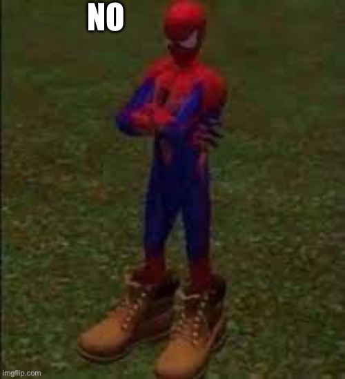 Spider-man with timbs | NO | image tagged in spider-man with timbs | made w/ Imgflip meme maker