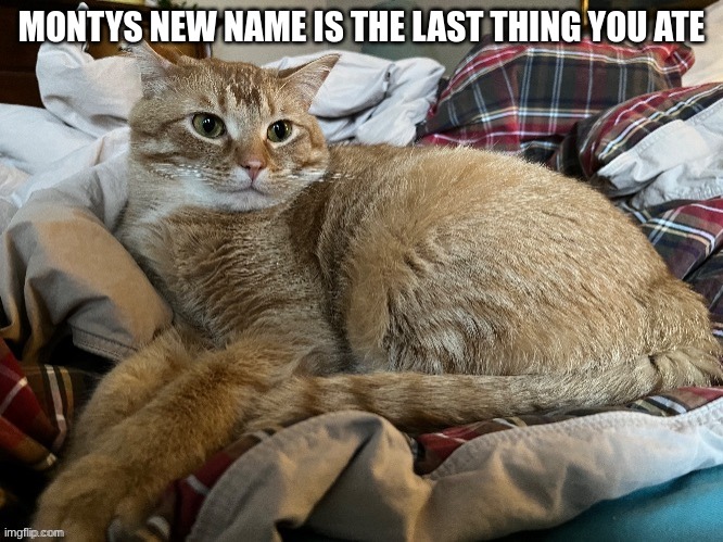 MONTYS NEW NAME IS THE LAST THING YOU ATE | made w/ Imgflip meme maker