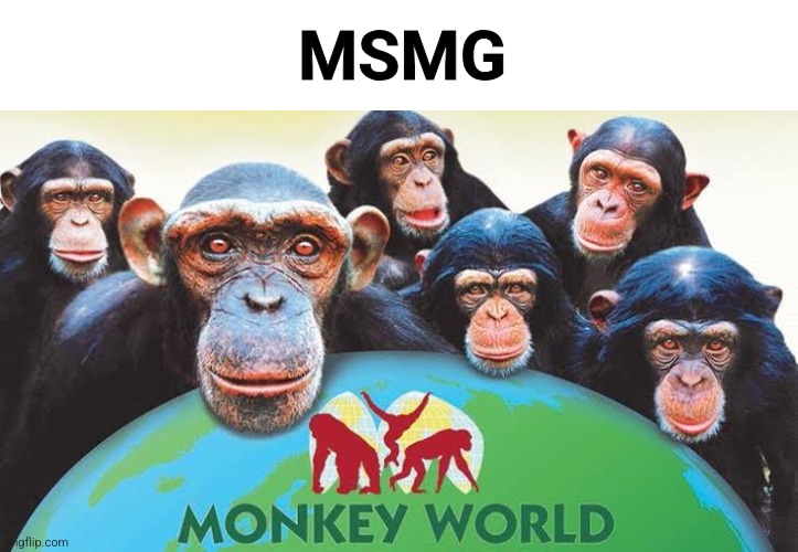 MSMG | made w/ Imgflip meme maker