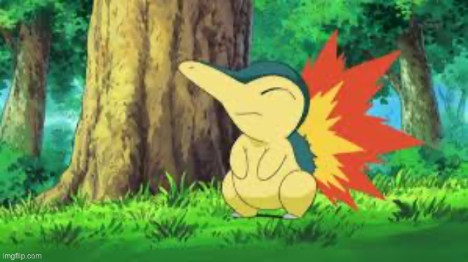 Anger cyndaquill | image tagged in anger cyndaquill | made w/ Imgflip meme maker