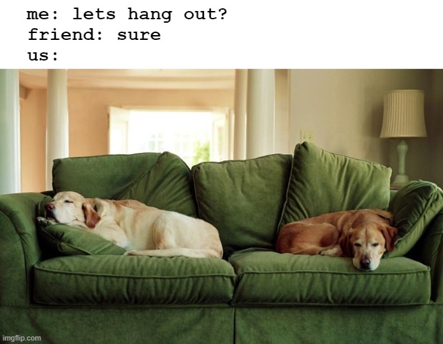 Hanging Out | me: lets hang out?
  friend: sure
  us: | image tagged in dogs,dog memes,funny dog memes | made w/ Imgflip meme maker
