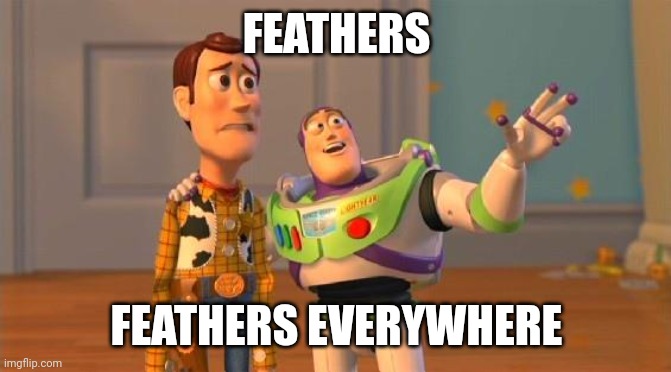 When It's Molting Season | FEATHERS; FEATHERS EVERYWHERE | image tagged in toystory everywhere,feathers,chickens | made w/ Imgflip meme maker