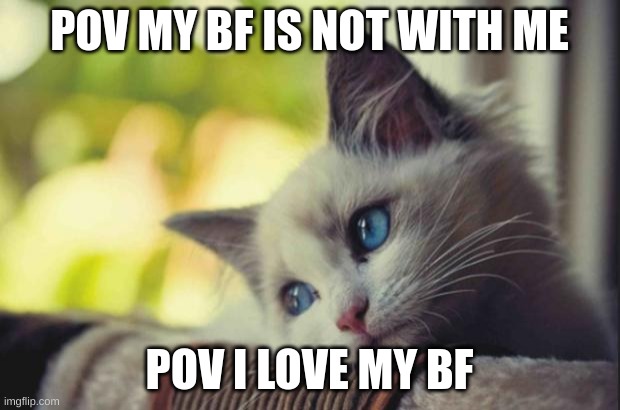 i love my bf | POV MY BF IS NOT WITH ME; POV I LOVE MY BF | image tagged in sad cat | made w/ Imgflip meme maker