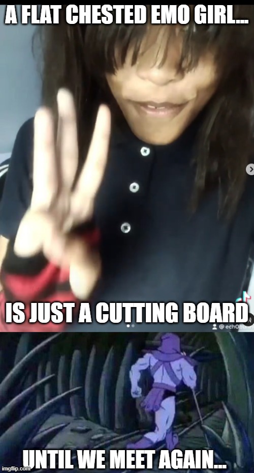Emo Girl | A FLAT CHESTED EMO GIRL... IS JUST A CUTTING BOARD; UNTIL WE MEET AGAIN... | image tagged in emo girl,skeletor disturbing facts | made w/ Imgflip meme maker
