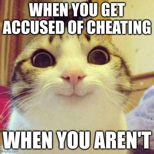 w | WHEN YOU GET ACCUSED OF CHEATING; WHEN YOU AREN'T | image tagged in memes,smiling cat | made w/ Imgflip meme maker