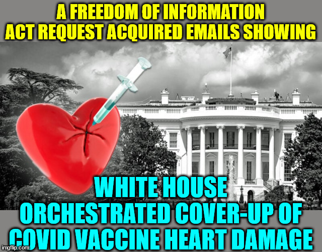 More covid vaccine truth | A FREEDOM OF INFORMATION ACT REQUEST ACQUIRED EMAILS SHOWING; WHITE HOUSE ORCHESTRATED COVER-UP OF COVID VACCINE HEART DAMAGE | image tagged in covid vaccine,truth,biden,white house,cover up | made w/ Imgflip meme maker