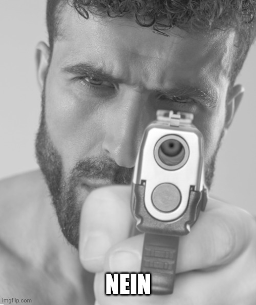 Gigachad holding you at gun point | NEIN | image tagged in gigachad holding you at gun point | made w/ Imgflip meme maker