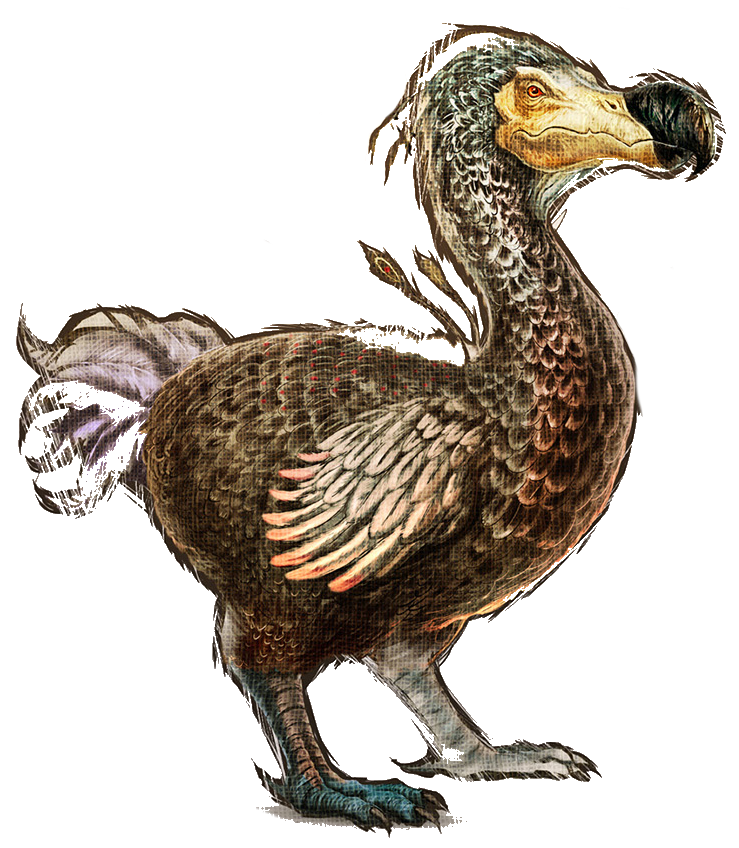 dodo Blank Meme Template