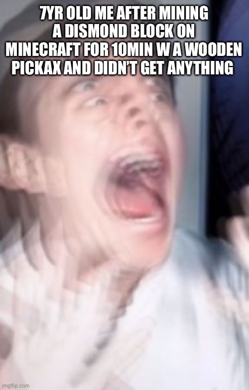 Freaking out | 7YR OLD ME AFTER MINING A DISMOND BLOCK ON MINECRAFT FOR 10MIN W A WOODEN PICKAX AND DIDN’T GET ANYTHING | image tagged in freaking out | made w/ Imgflip meme maker