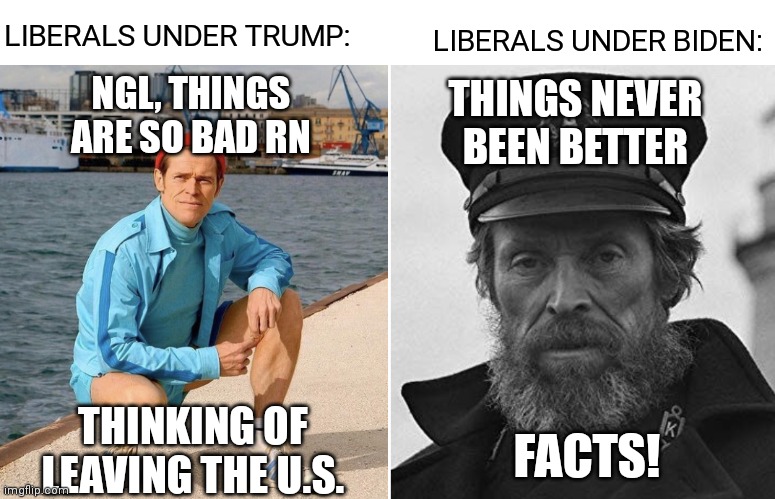Facts! | LIBERALS UNDER TRUMP:; LIBERALS UNDER BIDEN:; NGL, THINGS
ARE SO BAD RN; THINGS NEVER
BEEN BETTER; THINKING OF LEAVING THE U.S. FACTS! | image tagged in willem dafoe early vs late,democrats,biden,liberals | made w/ Imgflip meme maker