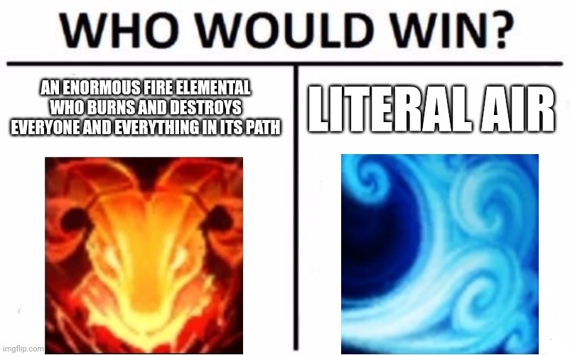 Who Would Win? Meme | AN ENORMOUS FIRE ELEMENTAL WHO BURNS AND DESTROYS EVERYONE AND EVERYTHING IN ITS PATH; LITERAL AIR | image tagged in memes,who would win | made w/ Imgflip meme maker