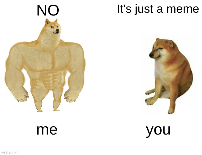 NO It's just a meme me you | image tagged in memes,buff doge vs cheems | made w/ Imgflip meme maker