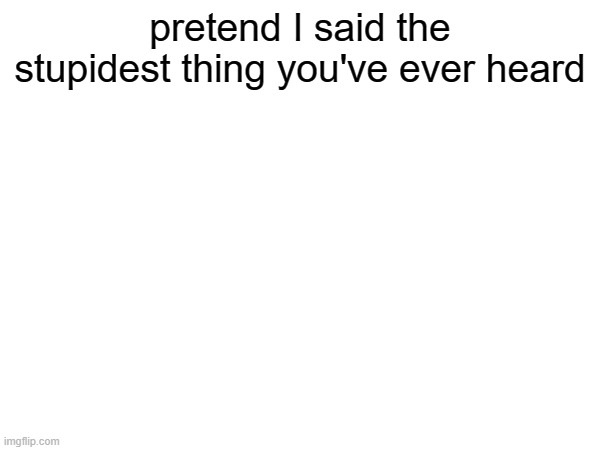 pretend I said the stupidest thing you've ever heard | made w/ Imgflip meme maker
