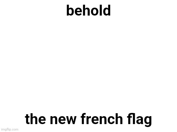 behold; the new french flag | made w/ Imgflip meme maker