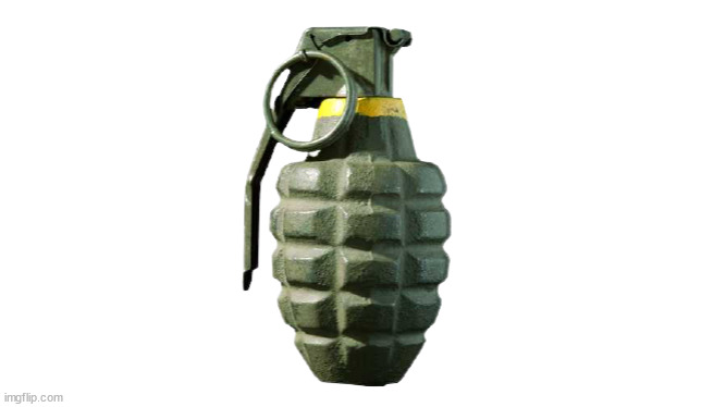 Grenade | image tagged in grenade | made w/ Imgflip meme maker