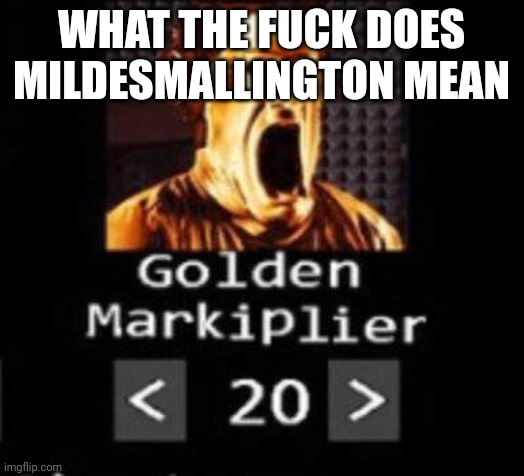 Golden Markiplier | WHAT THE FUCK DOES MILDESMALLINGTON MEAN | image tagged in golden markiplier | made w/ Imgflip meme maker