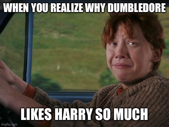 It’s OK, to my knowledge he’s not a groomer. | WHEN YOU REALIZE WHY DUMBLEDORE; LIKES HARRY SO MUCH | image tagged in ron weasley flying car,gay jokes,funny memes,harry potter,dumbledore | made w/ Imgflip meme maker