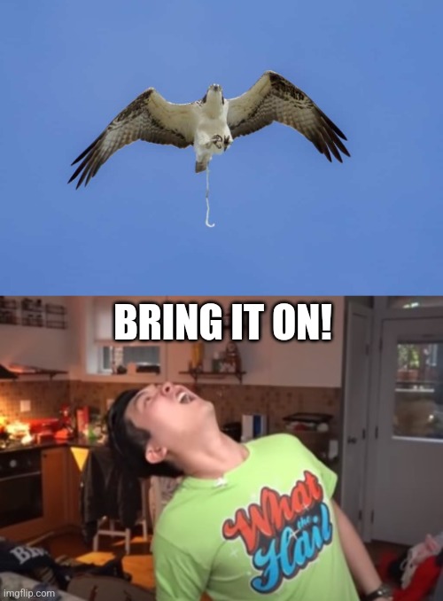 bird poop | BRING IT ON! | image tagged in bird poop | made w/ Imgflip meme maker