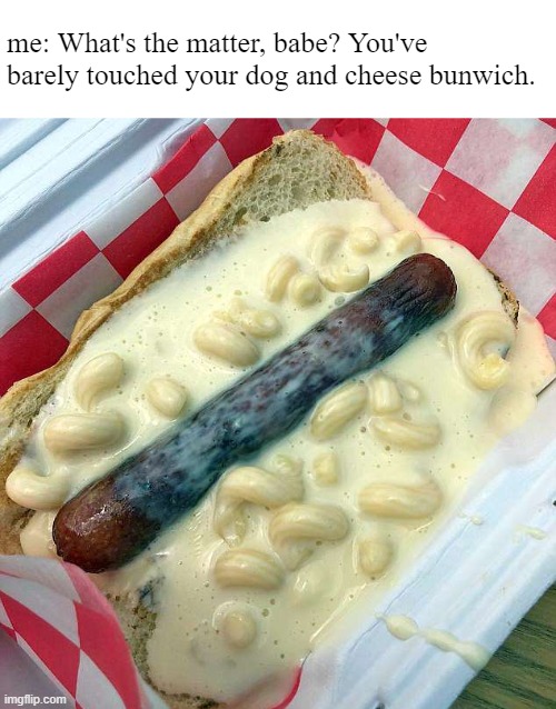 bunwitch | me: What's the matter, babe? You've barely touched your dog and cheese bunwich. | image tagged in food,weird | made w/ Imgflip meme maker