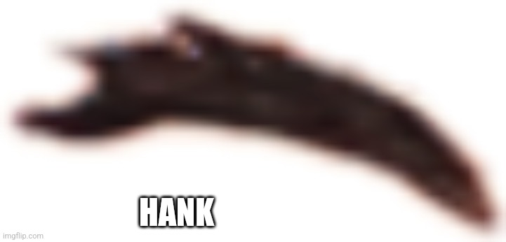 Hank | HANK | made w/ Imgflip meme maker