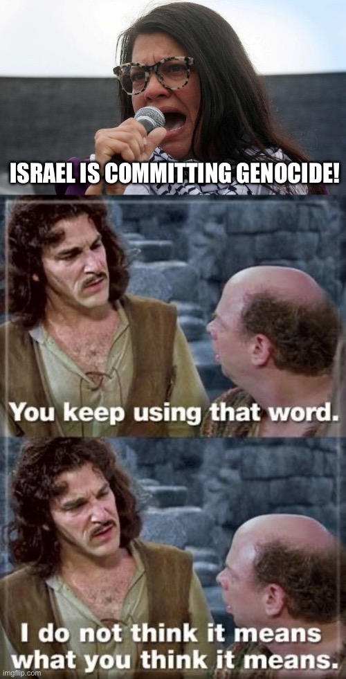 Not a single Israeli has called for genocide against the Palestinians. | ISRAEL IS COMMITTING GENOCIDE! | image tagged in rashida tlaib,politics,israel,liberal hypocrisy,muslims,scumbag | made w/ Imgflip meme maker