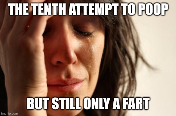 First World Problems Meme | THE TENTH ATTEMPT TO POOP; BUT STILL ONLY A FART | image tagged in memes,first world problems | made w/ Imgflip meme maker