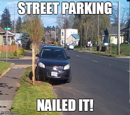 STREET PARKING NAILED IT! | made w/ Imgflip meme maker