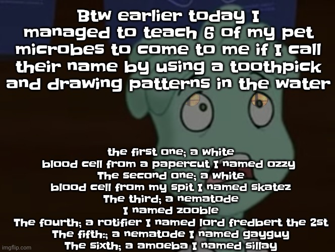I'll comment the pattern I used for each microbe. All you need is separate containers, patience, food and a toothpick. | the first one; a white blood cell from a papercut I named ozzy 
The second one; a white blood cell from my spit I named skatez
The third; a nematode I named zooble
The fourth; a rotifier I named lord fredbert the 2st
The fifth:; a nematode I named gayguy
The sixth; a amoeba I named sillay; Btw earlier today I managed to teach 6 of my pet microbes to come to me if I call their name by using a toothpick and drawing patterns in the water | made w/ Imgflip meme maker