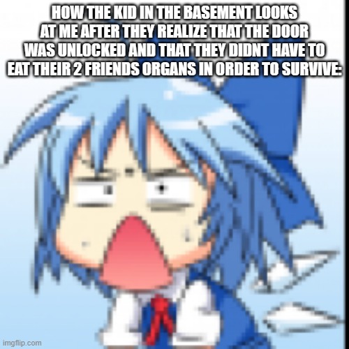2hu maymay | HOW THE KID IN THE BASEMENT LOOKS AT ME AFTER THEY REALIZE THAT THE DOOR WAS UNLOCKED AND THAT THEY DIDNT HAVE TO EAT THEIR 2 FRIENDS ORGANS IN ORDER TO SURVIVE: | image tagged in funny,offensive | made w/ Imgflip meme maker