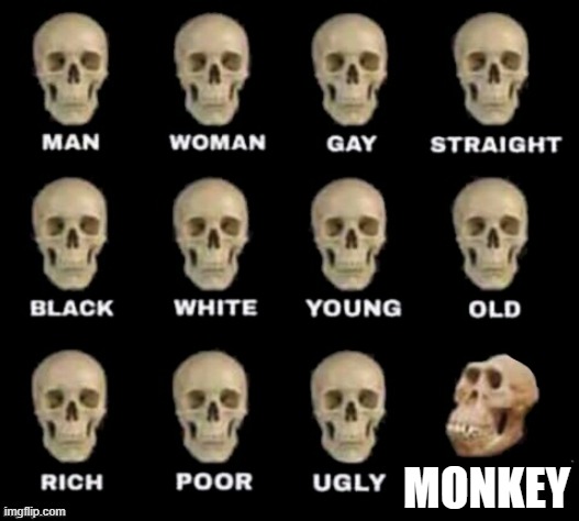 idiot skull | MONKEY | image tagged in idiot skull | made w/ Imgflip meme maker