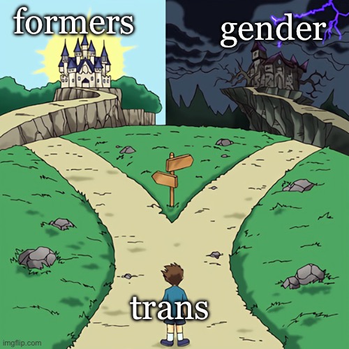 two castles | formers gender trans | image tagged in two castles | made w/ Imgflip meme maker