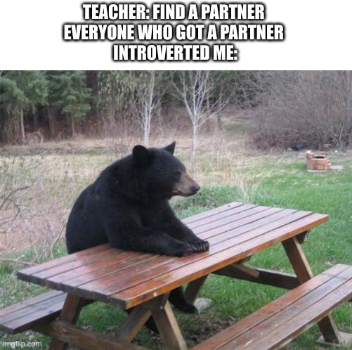 introvert can you relate to this | TEACHER: FIND A PARTNER 
EVERYONE WHO GOT A PARTNER 
INTROVERTED ME: | image tagged in memes,bad luck bear | made w/ Imgflip meme maker