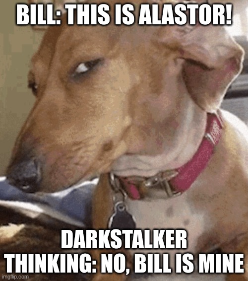 darkyboi is jealous XD | BILL: THIS IS ALASTOR! DARKSTALKER THINKING: NO, BILL IS MINE | image tagged in side eye dog | made w/ Imgflip meme maker